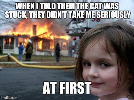 Disaster Girl Meme | WHEN I TOLD THEM THE CAT WAS STUCK, THEY DIDN'T TAKE ME SERIOUSLY AT FIRST | image tagged in memes,disaster girl | made w/ Imgflip meme maker