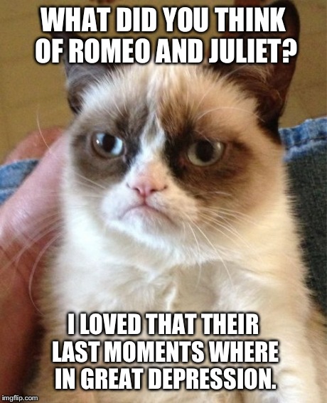 Grumpy Cat Meme | WHAT DID YOU THINK OF ROMEO AND JULIET? I LOVED THAT THEIR LAST MOMENTS WHERE IN GREAT DEPRESSION. | image tagged in memes,grumpy cat | made w/ Imgflip meme maker