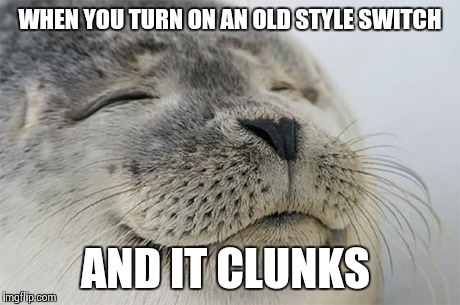 Satisfied Seal Meme | WHEN YOU TURN ON AN OLD STYLE SWITCH AND IT CLUNKS | image tagged in satisfied seal | made w/ Imgflip meme maker