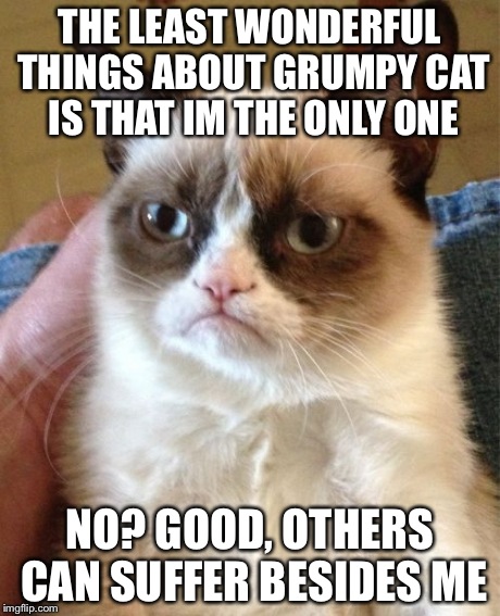 Grumpy Cat | THE LEAST WONDERFUL THINGS ABOUT GRUMPY CAT IS THAT IM THE ONLY ONE NO? GOOD, OTHERS CAN SUFFER BESIDES ME | image tagged in memes,grumpy cat | made w/ Imgflip meme maker