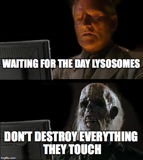 I'll Just Wait Here Meme | WAITING FOR THE DAY LYSOSOMES DON'T DESTROY EVERYTHING THEY TOUCH | image tagged in memes,ill just wait here | made w/ Imgflip meme maker