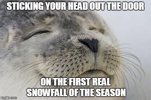 Satisfied Seal | STICKING YOUR HEAD OUT THE DOOR ON THE FIRST REAL SNOWFALL OF THE SEASON | image tagged in satisfied seal | made w/ Imgflip meme maker