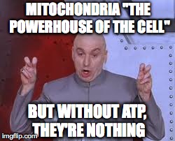 Dr Evil Laser | MITOCHONDRIA "THE POWERHOUSE OF THE CELL" BUT WITHOUT ATP, THEY'RE NOTHING | image tagged in memes,dr evil laser | made w/ Imgflip meme maker