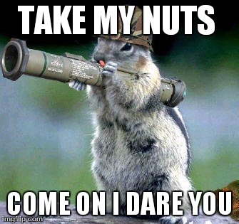 Bazooka Squirrel Meme | TAKE MY NUTS COME ON I DARE YOU | image tagged in memes,bazooka squirrel | made w/ Imgflip meme maker