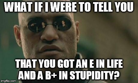 Matrix Morpheus | WHAT IF I WERE TO TELL YOU THAT YOU GOT AN E IN LIFE AND A B+ IN STUPIDITY? | image tagged in memes,matrix morpheus | made w/ Imgflip meme maker