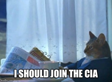 I Should Buy A Boat Cat | I SHOULD JOIN THE CIA | image tagged in memes,i should buy a boat cat | made w/ Imgflip meme maker