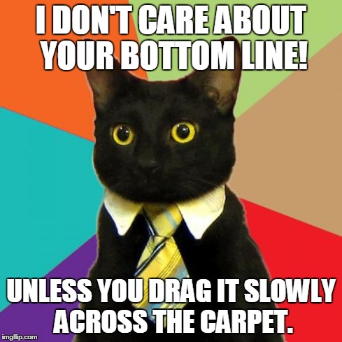 Business Cat | I DON'T CARE ABOUT YOUR BOTTOM LINE! UNLESS YOU DRAG IT SLOWLY ACROSS THE CARPET. | image tagged in memes,business cat | made w/ Imgflip meme maker