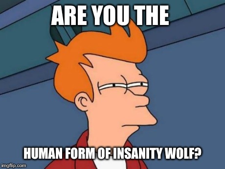 Futurama Fry Meme | ARE YOU THE HUMAN FORM OF INSANITY WOLF? | image tagged in memes,futurama fry | made w/ Imgflip meme maker