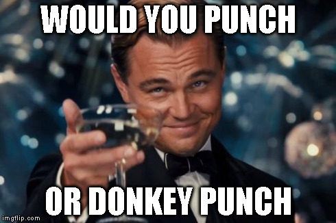 Leonardo Dicaprio Cheers Meme | WOULD YOU PUNCH OR DONKEY PUNCH | image tagged in memes,leonardo dicaprio cheers | made w/ Imgflip meme maker