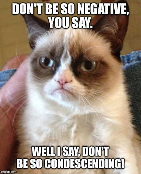 Say What? | DON'T BE SO NEGATIVE, YOU SAY. WELL I SAY, DON'T BE SO CONDESCENDING! | image tagged in memes,grumpy cat | made w/ Imgflip meme maker