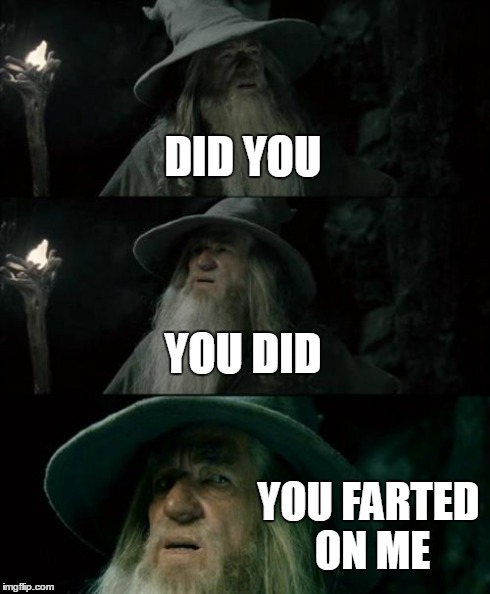 Confused Gandalf | DID YOU YOU DID YOU FARTED ON ME | image tagged in memes,confused gandalf | made w/ Imgflip meme maker