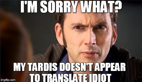 Doctor Who Don't | I'M SORRY WHAT? MY TARDIS DOESN'T APPEAR TO TRANSLATE IDIOT | image tagged in doctor who don't | made w/ Imgflip meme maker