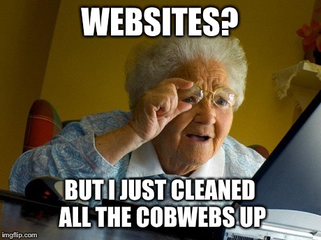 Grandma Finds The Internet | WEBSITES? BUT I JUST CLEANED ALL THE COBWEBS UP | image tagged in memes,grandma finds the internet | made w/ Imgflip meme maker