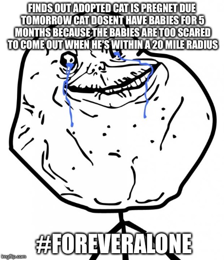 Forever Alone | FINDS OUT ADOPTED CAT IS PREGNET DUE TOMORROW CAT DOSENT HAVE BABIES FOR 5 MONTHS BECAUSE THE BABIES ARE TOO SCARED TO COME OUT WHEN HE'S WI | image tagged in forever alone | made w/ Imgflip meme maker