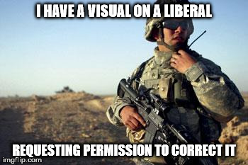 Tango Down | I HAVE A VISUAL ON A LIBERAL REQUESTING PERMISSION TO CORRECT IT | image tagged in soldier on radio | made w/ Imgflip meme maker