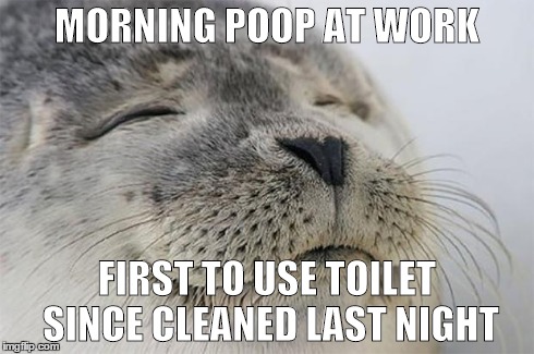 Satisfied Seal Meme | MORNING POOP AT WORK FIRST TO USE TOILET SINCE CLEANED LAST NIGHT | image tagged in satisfied seal,AdviceAnimals | made w/ Imgflip meme maker