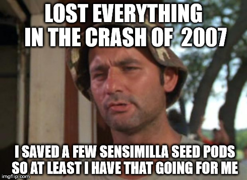 So I Got That Goin For Me Which Is Nice Meme | LOST EVERYTHING IN THE CRASH OF 
2007 I SAVED A FEW SENSIMILLA SEED PODS SO AT LEAST I HAVE THAT GOING FOR ME | image tagged in memes,so i got that goin for me which is nice | made w/ Imgflip meme maker