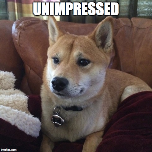 Much No Shibe  | UNIMPRESSED | image tagged in memes | made w/ Imgflip meme maker