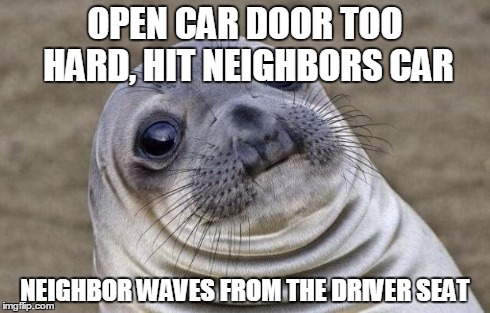 Awkward Moment Sealion | OPEN CAR DOOR TOO HARD, HIT NEIGHBORS CAR NEIGHBOR WAVES FROM THE DRIVER SEAT | image tagged in memes,awkward moment sealion | made w/ Imgflip meme maker