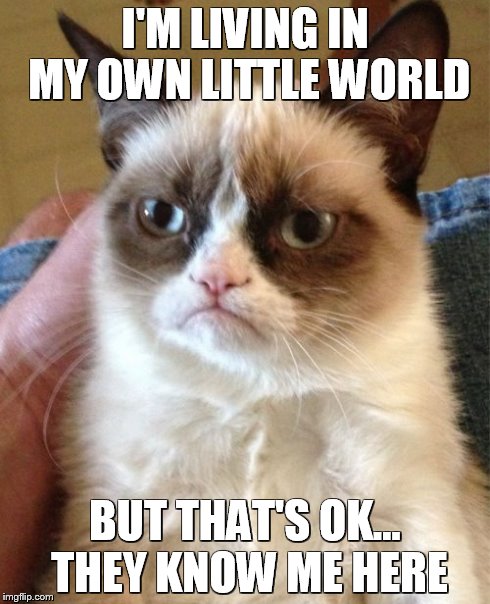 My Own World | I'M LIVING IN MY OWN LITTLE WORLD BUT THAT'S OK... THEY KNOW ME HERE | image tagged in memes,grumpy cat | made w/ Imgflip meme maker