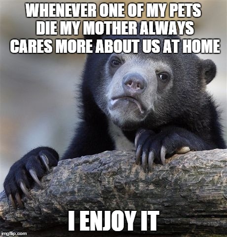 Confession Bear | WHENEVER ONE OF MY PETS DIE MY MOTHER ALWAYS CARES MORE ABOUT US AT HOME I ENJOY IT | image tagged in memes,confession bear | made w/ Imgflip meme maker