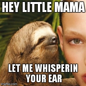 Whisper Sloth Meme | HEY LITTLE MAMA LET ME WHISPERIN YOUR EAR | image tagged in memes,whisper sloth | made w/ Imgflip meme maker