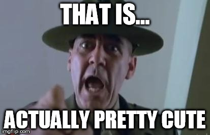 Full metal jacket | THAT IS... ACTUALLY PRETTY CUTE | image tagged in full metal jacket | made w/ Imgflip meme maker