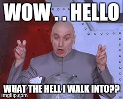 Dr Evil Laser | WOW . . HELLO WHAT THE HELL I WALK INTO?? | image tagged in memes,dr evil laser | made w/ Imgflip meme maker