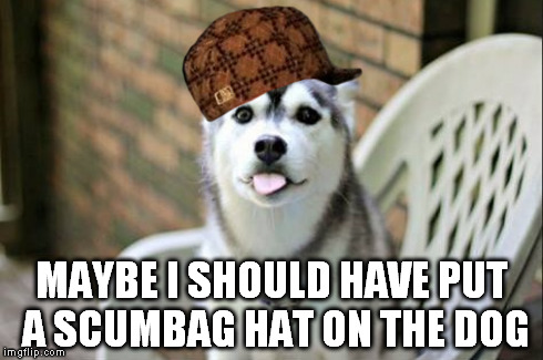 MAYBE I SHOULD HAVE PUT A SCUMBAG HAT ON THE DOG | made w/ Imgflip meme maker