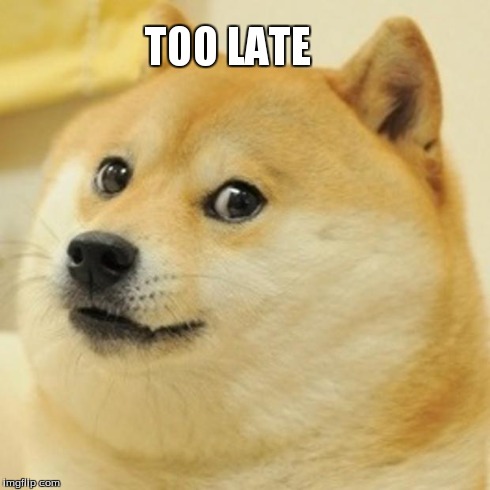 Doge Meme | TOO LATE | image tagged in memes,doge | made w/ Imgflip meme maker