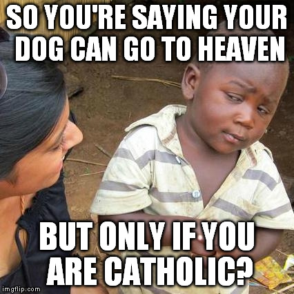Third World Skeptical Kid Meme | SO YOU'RE SAYING YOUR DOG CAN GO TO HEAVEN BUT ONLY IF YOU ARE CATHOLIC? | image tagged in memes,third world skeptical kid | made w/ Imgflip meme maker