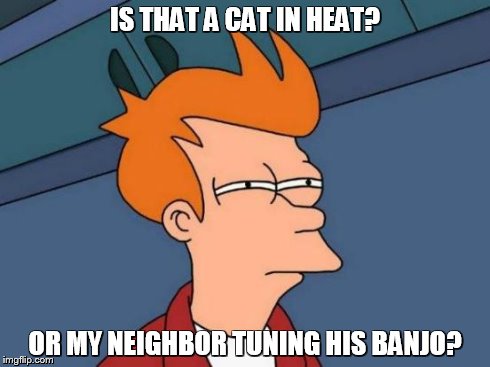Futurama Fry | IS THAT A CAT IN HEAT? OR MY NEIGHBOR TUNING HIS BANJO? | image tagged in memes,futurama fry | made w/ Imgflip meme maker