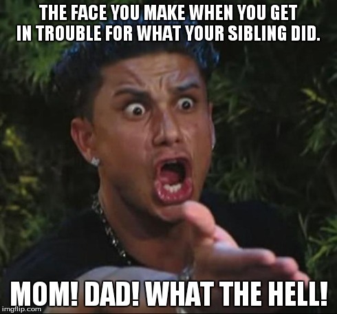 DJ Pauly D | THE FACE YOU MAKE WHEN YOU GET IN TROUBLE FOR WHAT YOUR SIBLING DID. MOM! DAD! WHAT THE HELL! | image tagged in memes,dj pauly d | made w/ Imgflip meme maker