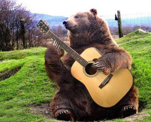 High Quality bear with guitar  Blank Meme Template