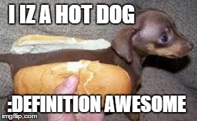 I IZ A HOT DOG :DEFINITION AWESOME | image tagged in hot dog | made w/ Imgflip meme maker
