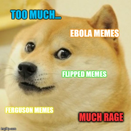 Doge Meme | TOO MUCH... EBOLA MEMES FLIPPED MEMES FERGUSON MEMES MUCH RAGE | image tagged in memes,doge | made w/ Imgflip meme maker