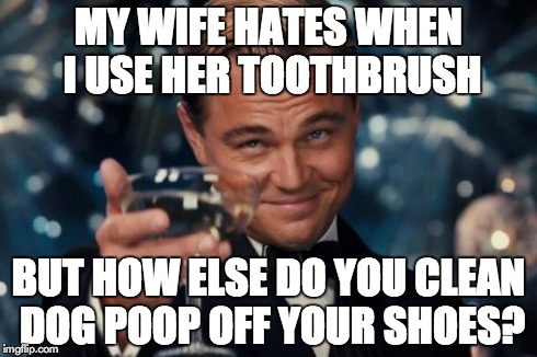 Leonardo Dicaprio Cheers Meme | MY WIFE HATES WHEN I USE HER TOOTHBRUSH BUT HOW ELSE DO YOU CLEAN DOG POOP OFF YOUR SHOES? | image tagged in memes,leonardo dicaprio cheers | made w/ Imgflip meme maker