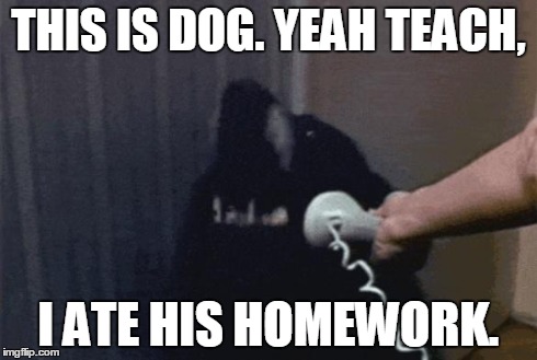 Phone Dog | THIS IS DOG. YEAH TEACH, I ATE HIS HOMEWORK. | image tagged in phone dog,funny | made w/ Imgflip meme maker