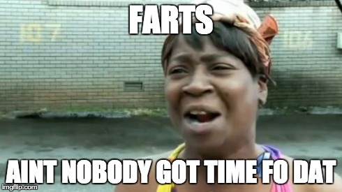 Ain't Nobody Got Time For That Meme | FARTS AINT NOBODY GOT TIME FO DAT | image tagged in memes,aint nobody got time for that | made w/ Imgflip meme maker