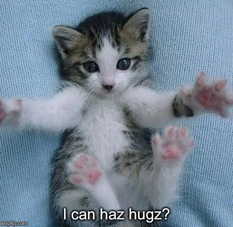 Goodmorning kitten | I can haz hugz? | image tagged in goodmorning kitten | made w/ Imgflip meme maker
