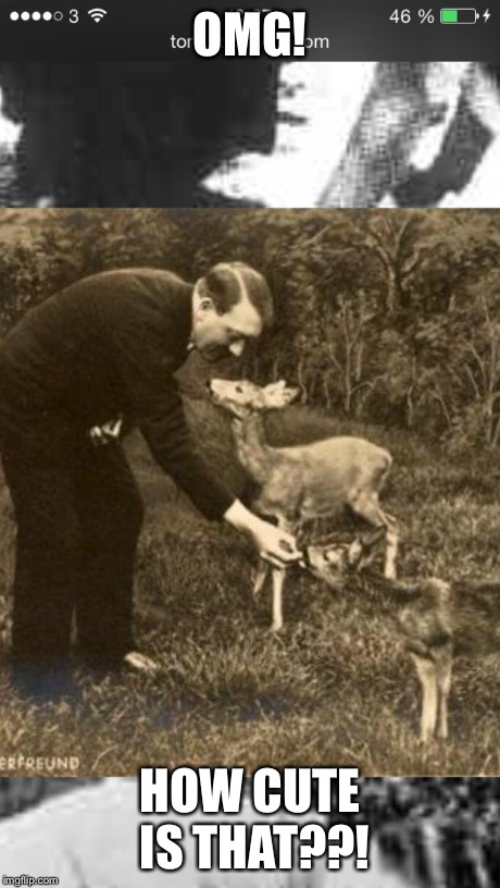 OMG! HOW CUTE IS THAT??! | image tagged in hitler | made w/ Imgflip meme maker