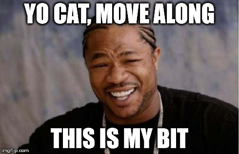 Yo Dawg Heard You Meme | YO CAT, MOVE ALONG THIS IS MY BIT | image tagged in memes,yo dawg heard you | made w/ Imgflip meme maker