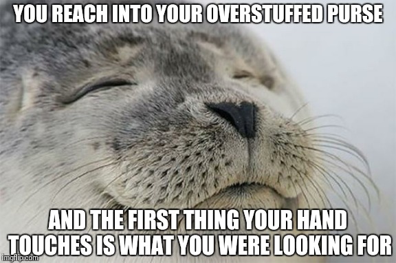 Satisfied Seal Meme | YOU REACH INTO YOUR OVERSTUFFED PURSE AND THE FIRST THING YOUR HAND TOUCHES IS WHAT YOU WERE LOOKING FOR | image tagged in satisfied seal,AdviceAnimals | made w/ Imgflip meme maker