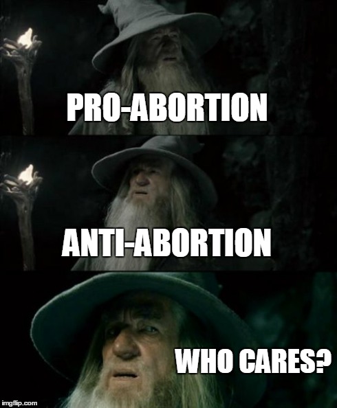 Confused Gandalf | PRO-ABORTION ANTI-ABORTION WHO CARES? | image tagged in memes,confused gandalf | made w/ Imgflip meme maker