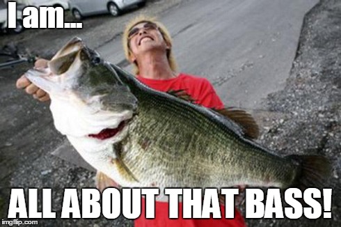 Because You Know | I am... ALL ABOUT THAT BASS! | image tagged in bass boy,bass,all about that bass,music,lame,wordplay | made w/ Imgflip meme maker