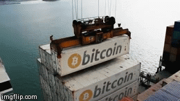 My bitcoins finally arrived! | image tagged in gifs | made w/ Imgflip video-to-gif maker