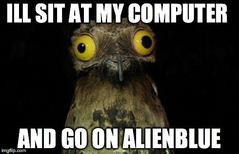 Crazy eyed bird | ILL SIT AT MY COMPUTER AND GO ON ALIENBLUE | image tagged in crazy eyed bird | made w/ Imgflip meme maker
