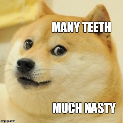 Doge Meme | MANY TEETH MUCH NASTY | image tagged in memes,doge | made w/ Imgflip meme maker