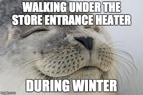 Satisfied Seal | WALKING UNDER THE STORE ENTRANCE HEATER DURING WINTER | image tagged in satisfied seal,AdviceAnimals | made w/ Imgflip meme maker