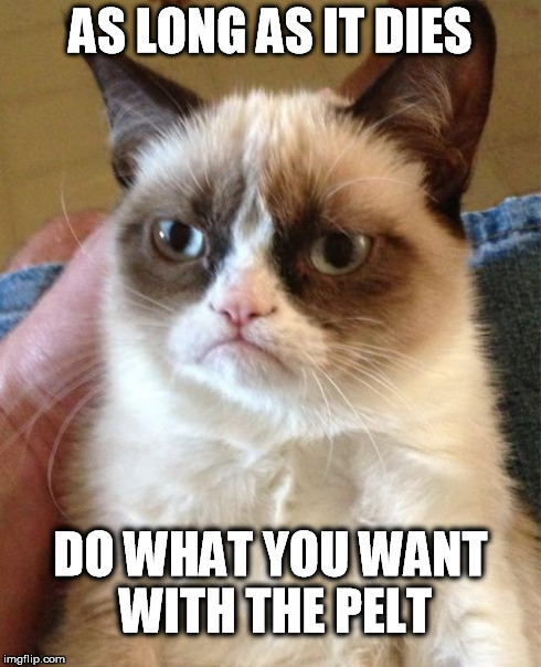 Grumpy Cat Meme | AS LONG AS IT DIES DO WHAT YOU WANT WITH THE PELT | image tagged in memes,grumpy cat | made w/ Imgflip meme maker